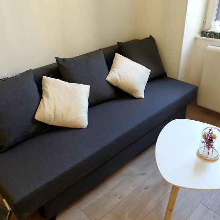 Appartement Cosy Entier, Parking Gratuit Dans La Rue Dijon Bagian luar foto