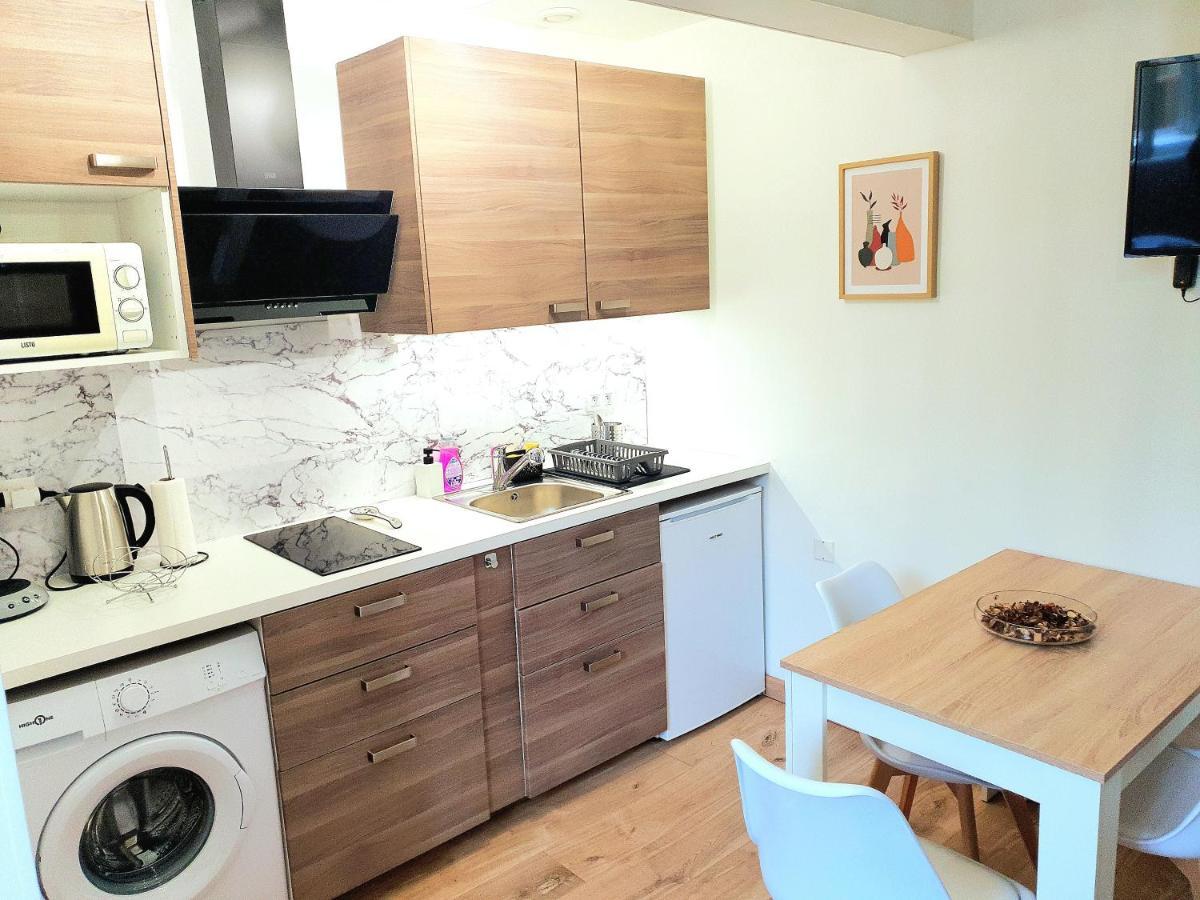 Appartement Cosy Entier, Parking Gratuit Dans La Rue Dijon Bagian luar foto
