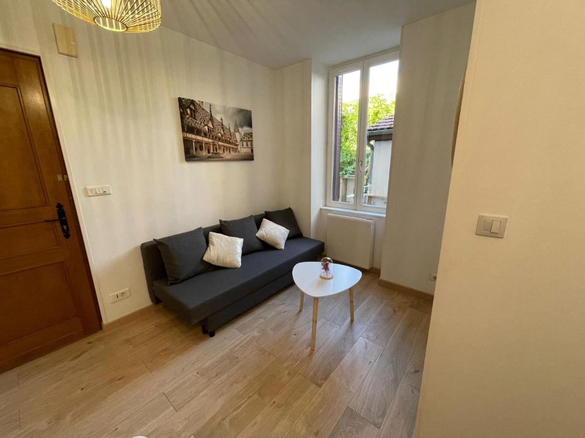 Appartement Cosy Entier, Parking Gratuit Dans La Rue Dijon Bagian luar foto